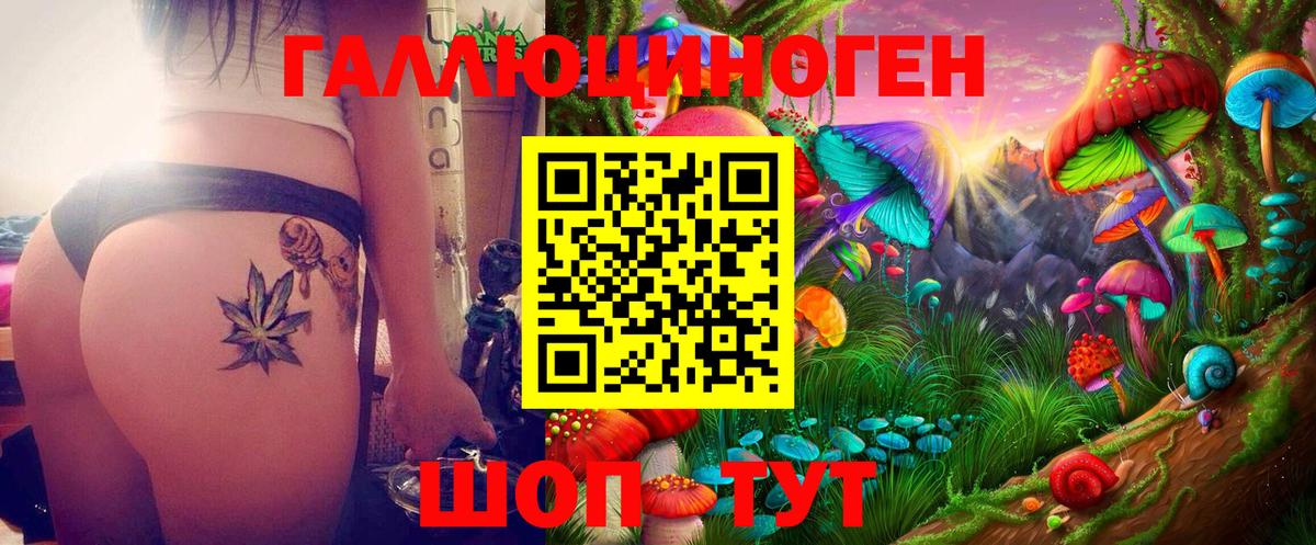Галлюциногенные грибы Magic Shrooms  Вход с VPN  Елец 