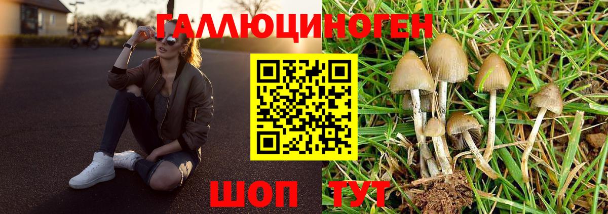 Галлюциногенные грибы мухоморы Елец